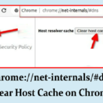 chrome //net-internals/#dns clear